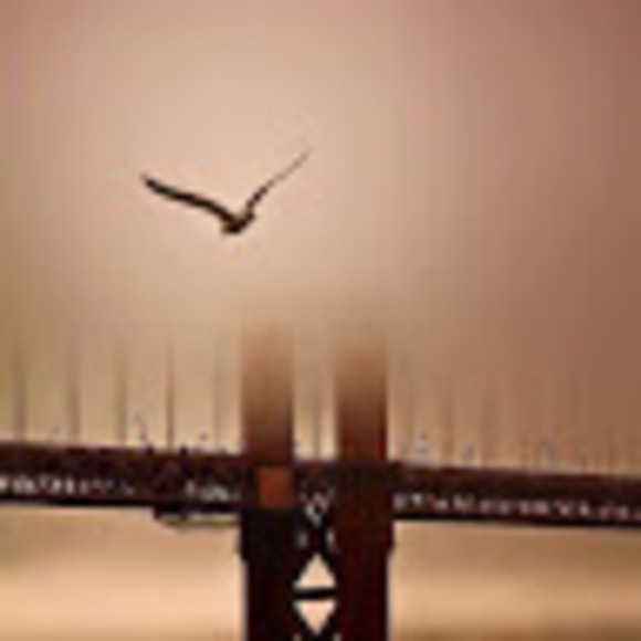 Meet your Posher, Cherokee - Picture 1 of 1